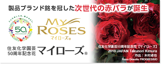 住友化学園芸50周年記念花「マイローズ」