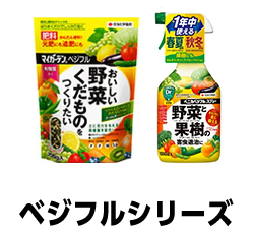 ベジフル