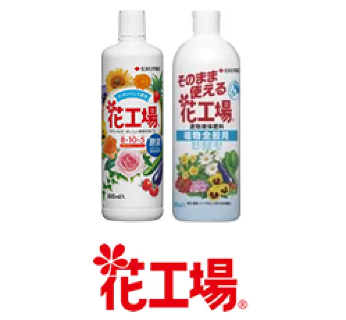 花工場