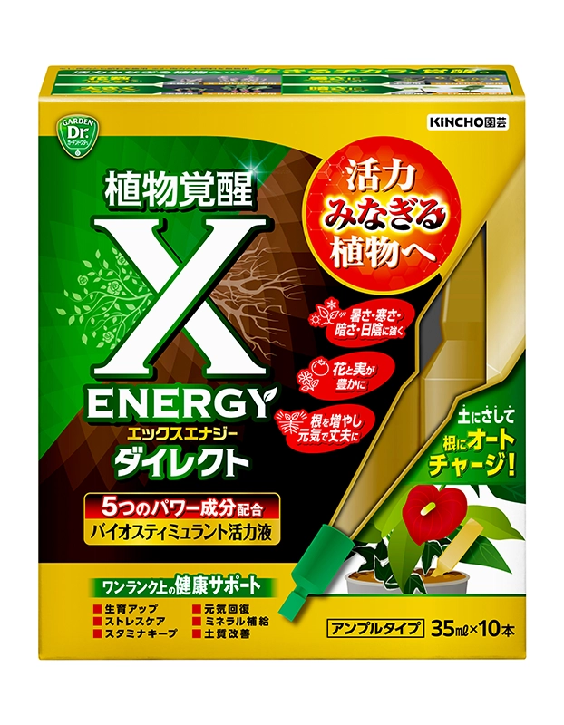 X-ENERGYダイレクト アンプルタイプ