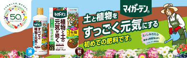 マイガーデン2020