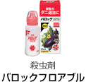 バロックフロアブル