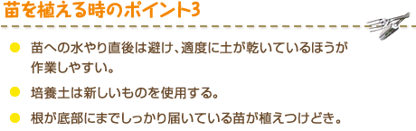 苗を植える時のポイント3 ・苗への水やり直後は避け、適度に土が乾いているほうが作業しやすい。・培養土は新しいものを使用する。・根が底部にまでしっかり届いている苗が植えつけどき。