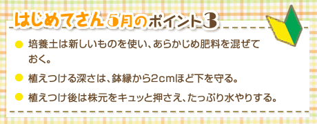 はじめてさん5月のポイント3 ・培養土は新しいものを使い、あらかじめ肥料を混ぜておく。・植えつける深さは、鉢縁から2cmほど下を守る。・植えつけ後は株元をキュッと押さえ、たっぷり水やりする。