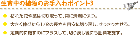 生育中の植物のお手入れポイント3 ・枯れた花や葉は切り取って、常に清潔に保つ。・大きく伸びたら1/2の長さを目安に切り戻し、すっきりさせる。・定期的に施すのにプラスして、切り戻し後にも肥料を施す。