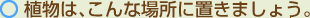 植物は、こんな場所に置きましょう。