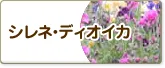 シレネ・ディオイカ