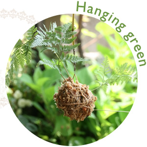 Hanging green