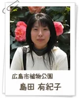 島田有紀子