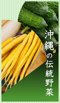 沖縄の伝統野菜