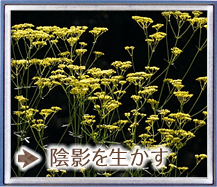 陰影を生かす