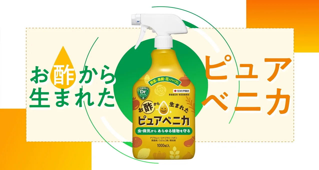 ピュアベニカ