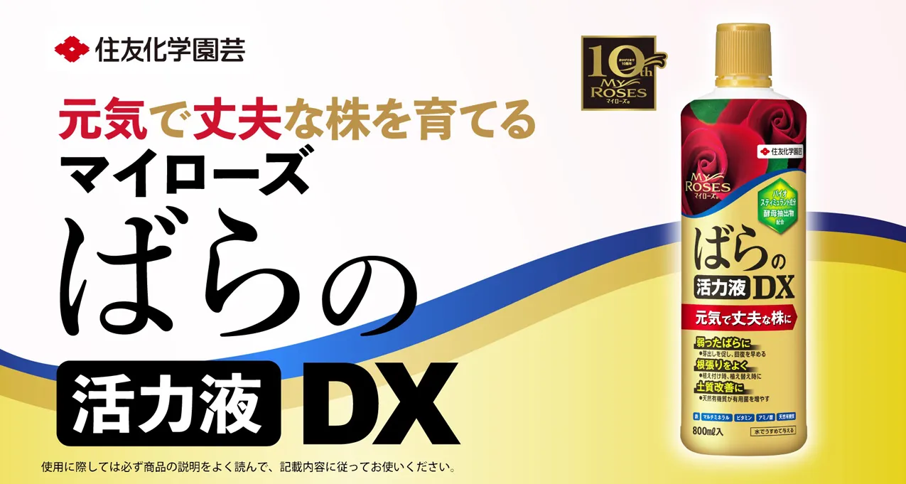 マイローズばらの活力液DX