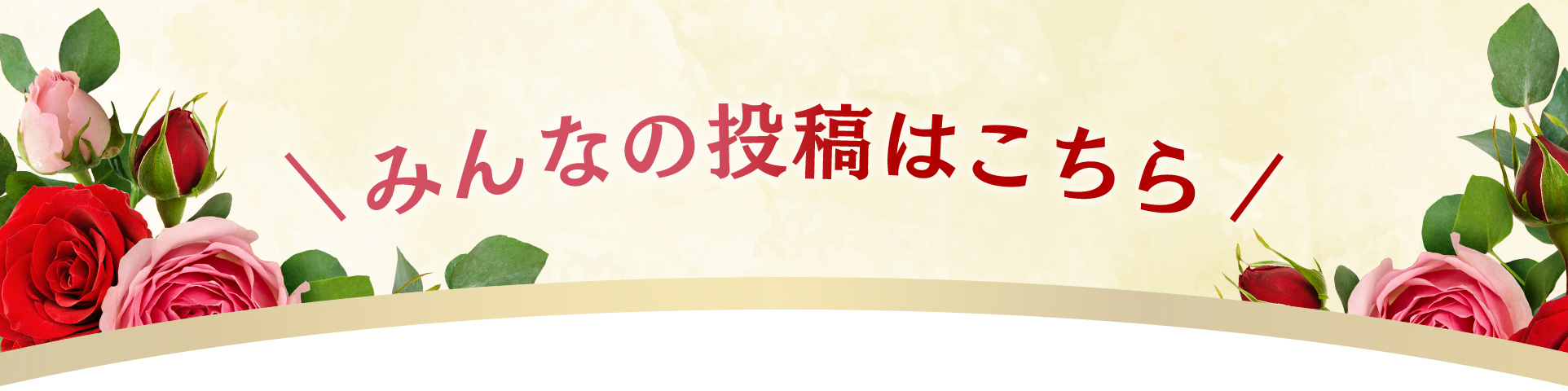 みんなの投稿はこちら