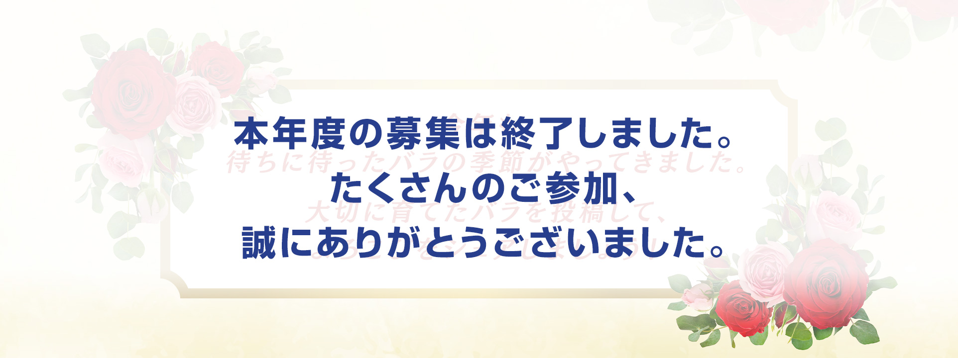 今年も、待ちに待ったバラの季節がやってきました。