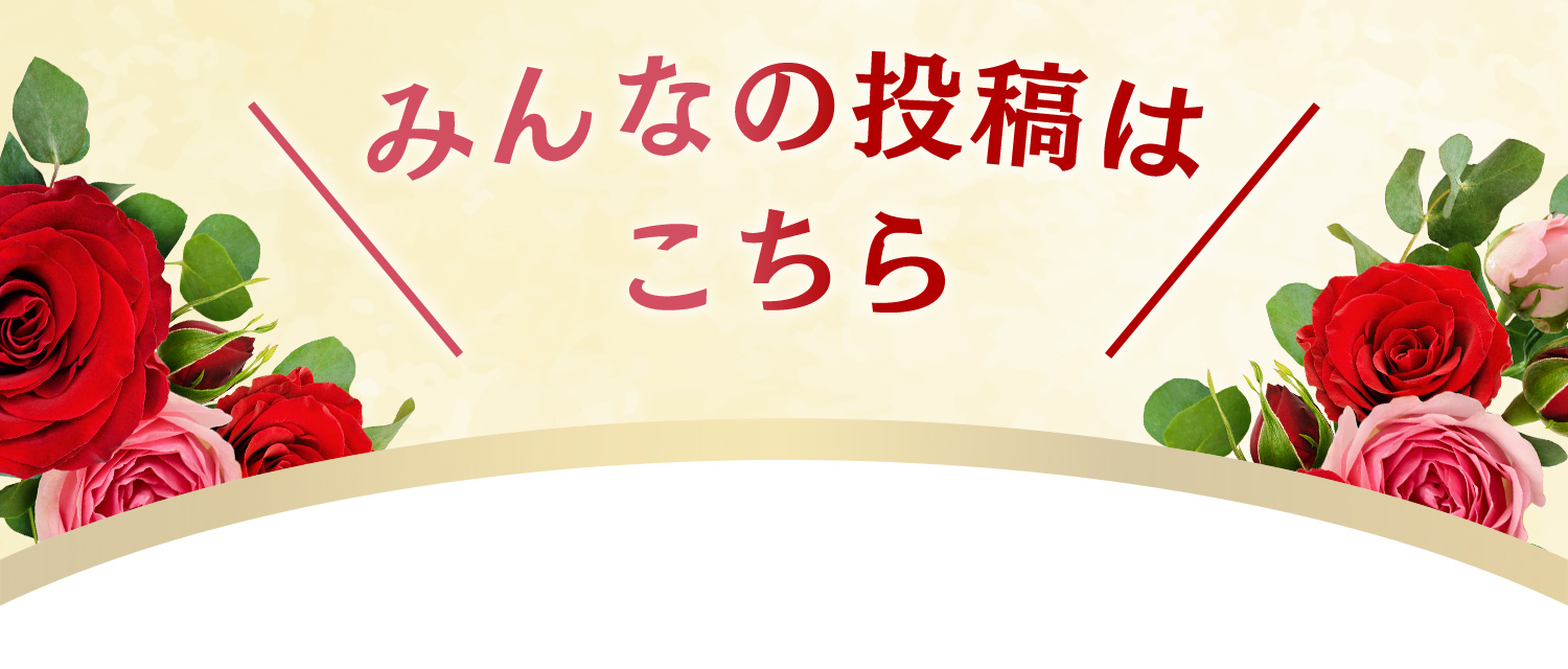 みんなの投稿はこちら