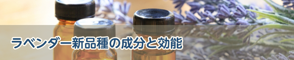 ラベンダー新品種の成分と効能