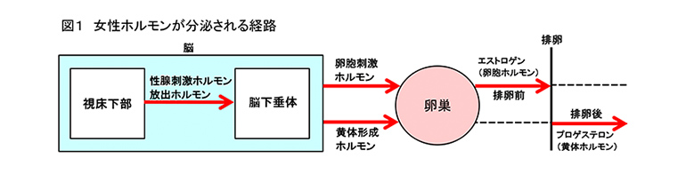 img01_page09