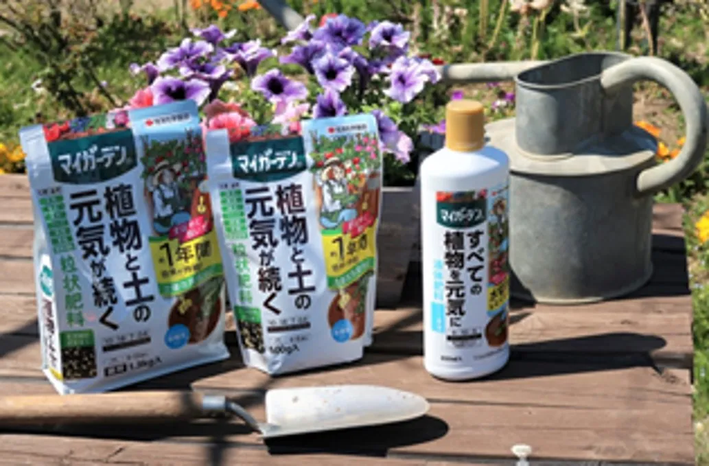 健康的に育てよう！寄せ植えの基本