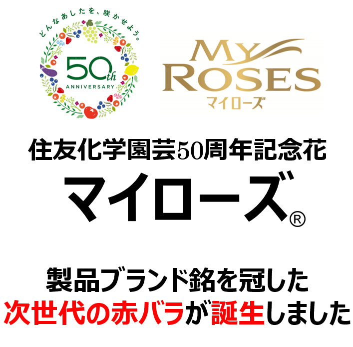 製品ブランド名を冠した次世代の赤バラが誕生しました。