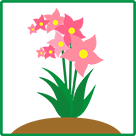 植物全体