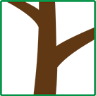 枝・幹
