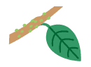 小さな虫が群棲した茎のイラスト