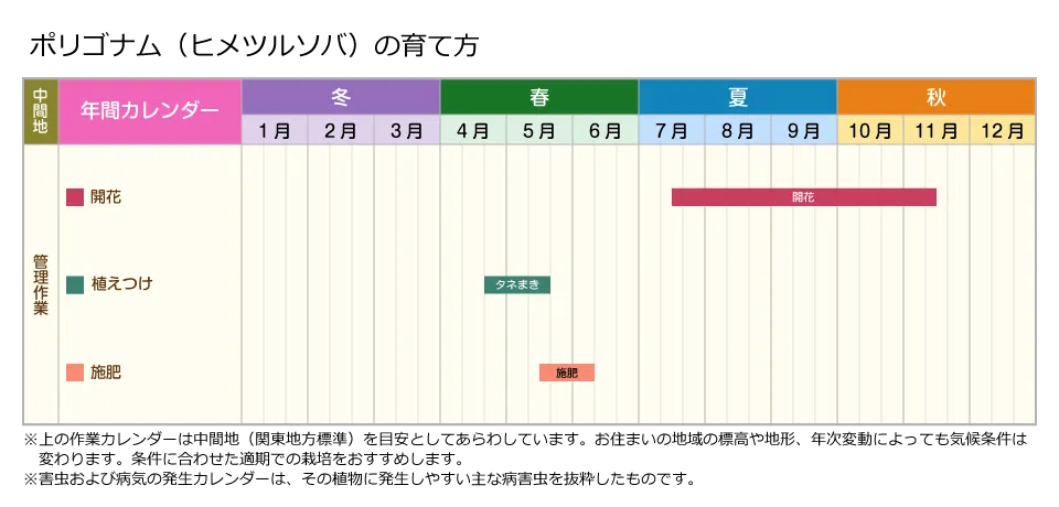 ポリゴナムご相談 ポリゴナムご相談