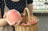 もも【地植え】写真