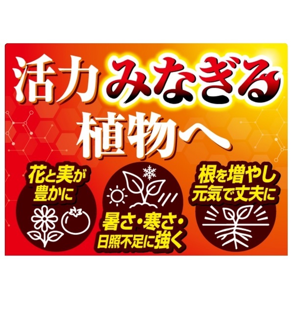 農芸化学という学問と社会