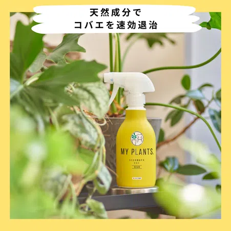 MY PLANTS コバエを退治するミスト｜KINCHO園芸