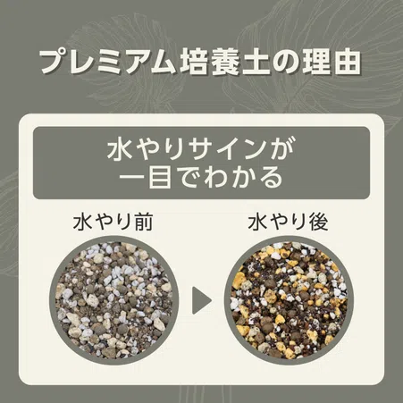 MY PLANTS 健やかに育てるソイル 観葉植物用｜KINCHO園芸