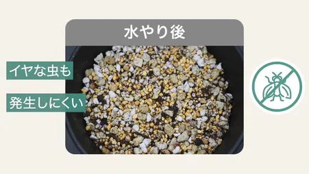 Amazon | 住友化学園芸 培養土 MYPLANTS健やかに育てる