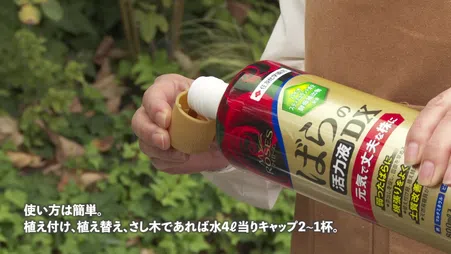 マイローズばらの活力液DX｜KINCHO園芸