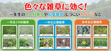 マイターフ シバニードシャワーDX｜住友化学園芸