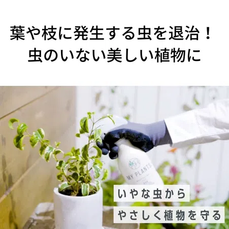 ミストムーアの大主　昆虫トークン　各2枚セット mtg 昆虫トークン (ミストムーアの大主用) - メルカリ