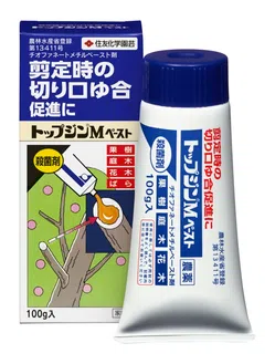 トップジンＭペースト