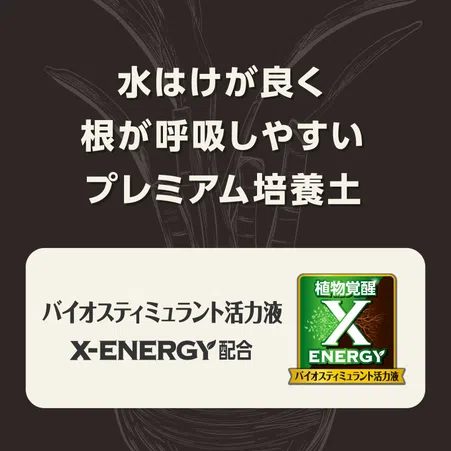 MY PLANTS 健やかに育てるソイル アガベ・多肉植物・塊根植物用