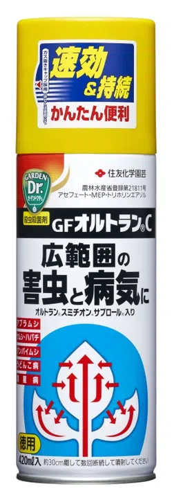 ＧＦオルトランＣ