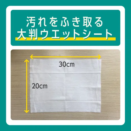 MY PLANTS 葉をきれいにするシート｜KINCHO園芸