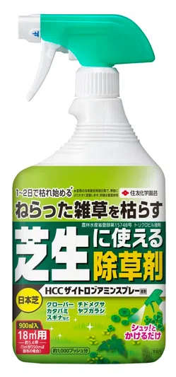 9ca9ea74_dl_800.webp