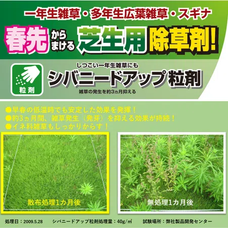 芝生に使える！シバニードアップ粒剤|すばやく効いて発芽も抑える