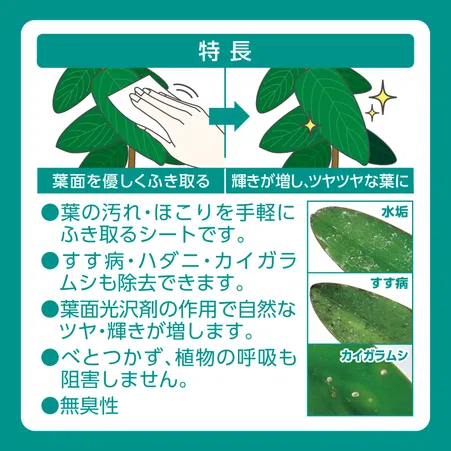 MY PLANTS 葉をきれいにするシート｜KINCHO園芸