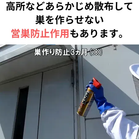 プロも認める優れた殺虫効果!スズメバチエアゾール プロも認める優れた殺虫効果!スズメバチエアゾール