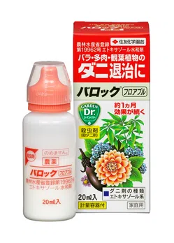 バロックフロアブル