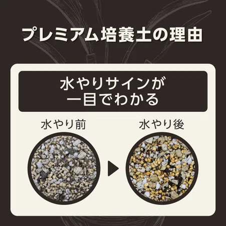 MY PLANTS 健やかに育てるソイル アガベ・多肉植物・塊根植物用