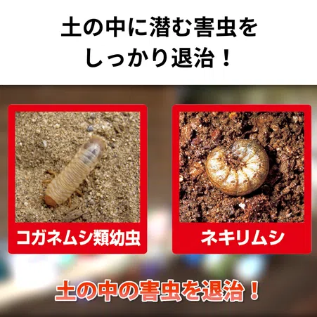 にょきにょきイモムシ遊び♪#遊び #お家遊び #おうち遊び #知育