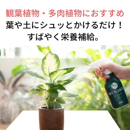 MY PLANTS すばやく元気を届けるミスト｜KINCHO園芸
