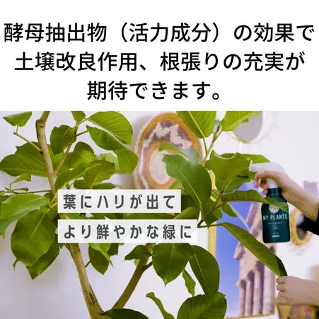 MY PLANTS すばやく元気を届けるミスト｜KINCHO園芸