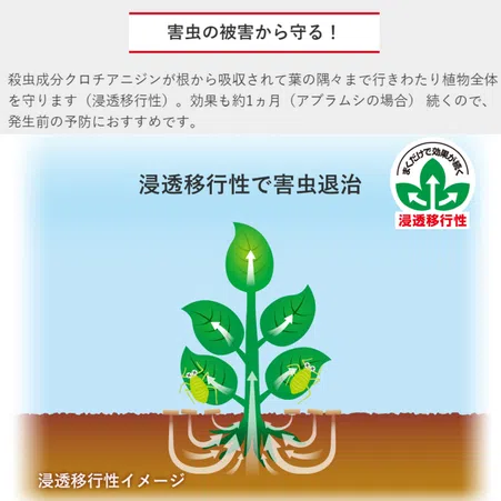 最新植物化学 ベニカXガード粒剤｜KINCHO園芸